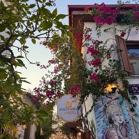 Privat bolig Pangea Sigacik & Bistro Seferihisar