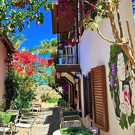Pangea Sigacik & Bistro Homestay Seferihisar
