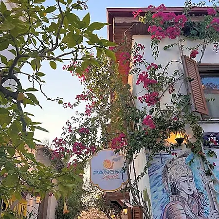 Homestay Pangea Sigacik & Bistro *